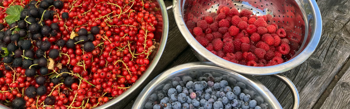 Oogstgeluk in een potje: fruit en bessen inmaken, fermenteren en nog veel meer! - Oogstgeluk: fruit en bessen bewaren – 5 methoden
