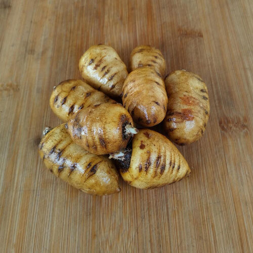 Knolribzaad (Chaerophyllum bulbosum)