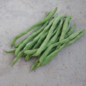 Stokboon 'Neckarkönigin' (Phaseolus vulgaris) 