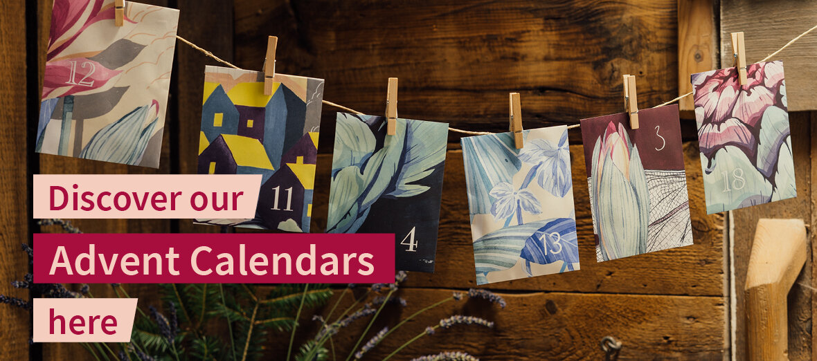 Seed Advent Calendars