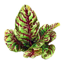 Een illustratie van bloedzuring