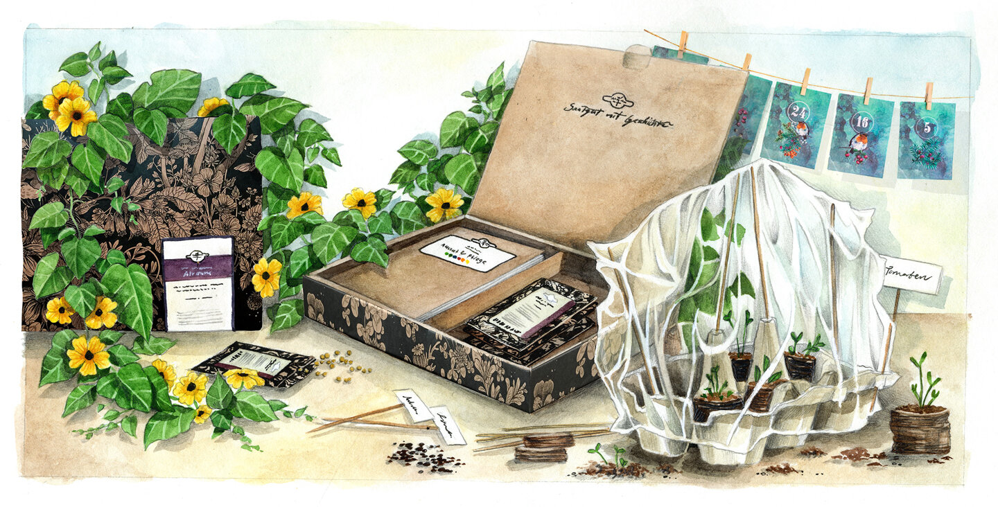 Gruene Geschenkideen rund um Saatgut