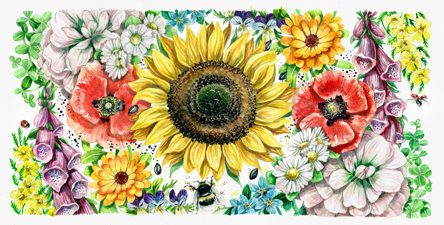 Saatgut fuer Blumen