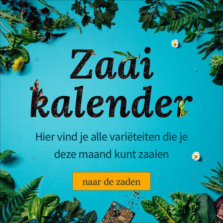 Wat kan er in mei in de volle grond worden gezaaid?