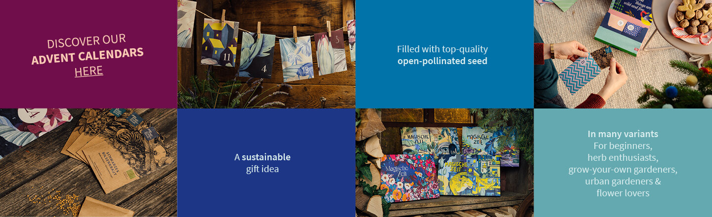 Promotiebanner voor de zaad-adventskalenders van Magic Garden Seeds