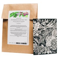 Wenskaart set - Magic Garden Seeds Highlights - 10...