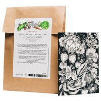 Wenskaart set - Magic Garden Seeds Highlights - 10...