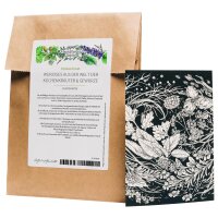 Wenskaart set - Magic Garden Seeds Highlights - 10 briefkaarten met het motief: Kruidig uit de wereld van keukenkruiden en specerijenplanten