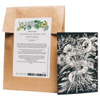 Wenskaart set - Magic Garden Seeds Highlights - 10 briefkaarten met het motief: Genezing uit de wereld van geneeskrachtige planten
