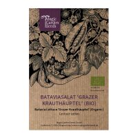 Bataviasla Grazer Krauthäuptel (Lactuca sativa) bio...