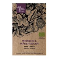 Witte kool Wädenswiler‘ (Brassica oleracea)...