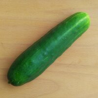 Komkommer Marketmore’ (Cucumis sativus) biologisch zaad