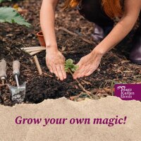 Wenskaart set - Magic Garden Seeds Highlights - 6 briefkaarten met onze 6 mooiste met de hand getekende motieven en passende enveloppen