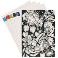Wenskaart set - Magic Garden Seeds Highlights - 6 briefkaarten met onze 6 mooiste met de hand getekende motieven en passende enveloppen