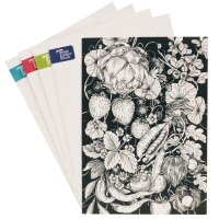 Wenskaart set - Magic Garden Seeds Highlights - 6 x 3 briefkaarten met onze 6 mooiste met de hand getekende motieven en passende enveloppen