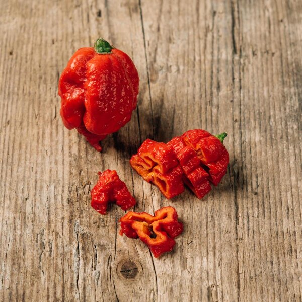 Chili peper Carolina Reaper (Capsicum chinense)