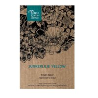 Jonkerlelie / gele affodil Yellow (Asphodeline lutea) zaden