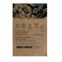 Turkmeense alruin (Mandragora turcomanica) zaden