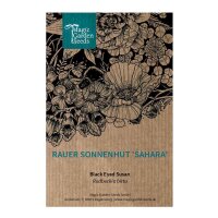 Ruwe zonnehoed Sahara (Rudbeckia hirta) zaden