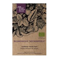 Bloemkool Neckarperle (Brassica oleracea var. botrytis) bio zaad