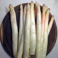 Bleke asperges Ruhm von Braunschweig (Asparagus officinalis) zaden