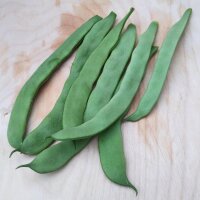 Gewone boon Pfälzer Juni (Phaseolus vulgaris) zaden