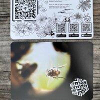 Bloemen snackpakket - BEE STEEZ (bio)