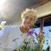 Bloemen snackpakket - BEE STEEZ (bio)