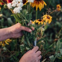Wilde bloemenextase - bio-zaad-vermeerdering set voor alle bloementuinders