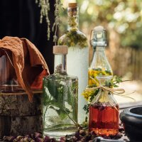 Wondere wereld van kruiden - bio-zaad-vermeerdering set voor alle kruidentuinders