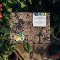 Onze favoriete planten: groente voor stadstuinders (bio) - zaad-cadeau set
