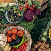 Onze favoriete planten: goede groente voor zelfverzorgers (bio) - zaad-cadeau set