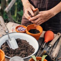 Onze favoriete planten: Wilde bloemen voor bloemenfans (bio) - zaad-cadeau set