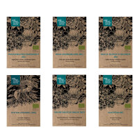 Onze favoriete planten: Vaste planten & zomerbloemen...