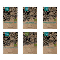 Onze favoriete planten: Wilde bloemen voor bloemenfans...