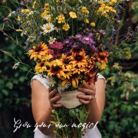 Onze favoriete planten: Wilde bloemen voor bloemenfans (bio) – zaad set