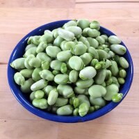 Waalse boon / tuinboon Hangdown Grünkernig (Vicia faba) zaden