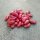 Struikboon Canadian Wonder (Phaseolus vulgaris) bio zaad