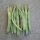 Struikboon Canadian Wonder (Phaseolus vulgaris) bio zaad