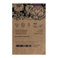 Rode lente-ui (Allium fistulosum) zaden