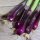 Rode lente-ui (Allium fistulosum) zaden