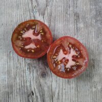 Schwarze Tomate Black Russian (Solanum lycopersicum) zaden