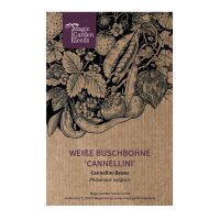 Witte bosboon Cannellini (Phaseolus vulgaris) zaden