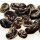 Limaboon (Phaseolus lunatus) zaden