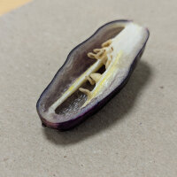 Paarse chili Pimenta Da Neyde (Capsicum chinense x annuum) zaden