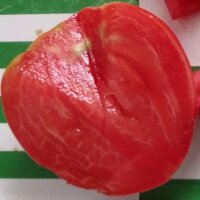 Turkmeense vleestomaat Serdtse Ashkhabada (Solanum lycopersicum) zaden