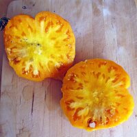 Vleestomaat Persimmon (Solanum lycopersicum) zaden