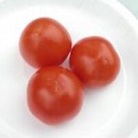 Sruiktomaat Alaska Wonder (Solanum lycopersicum) zaden