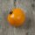 Struiktomaat Ida Gold (Solanum lycopersicum) zaden