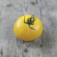 Tomaat Sorbet De Citron (Solanum lycopersicum) zaden